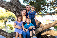 Families